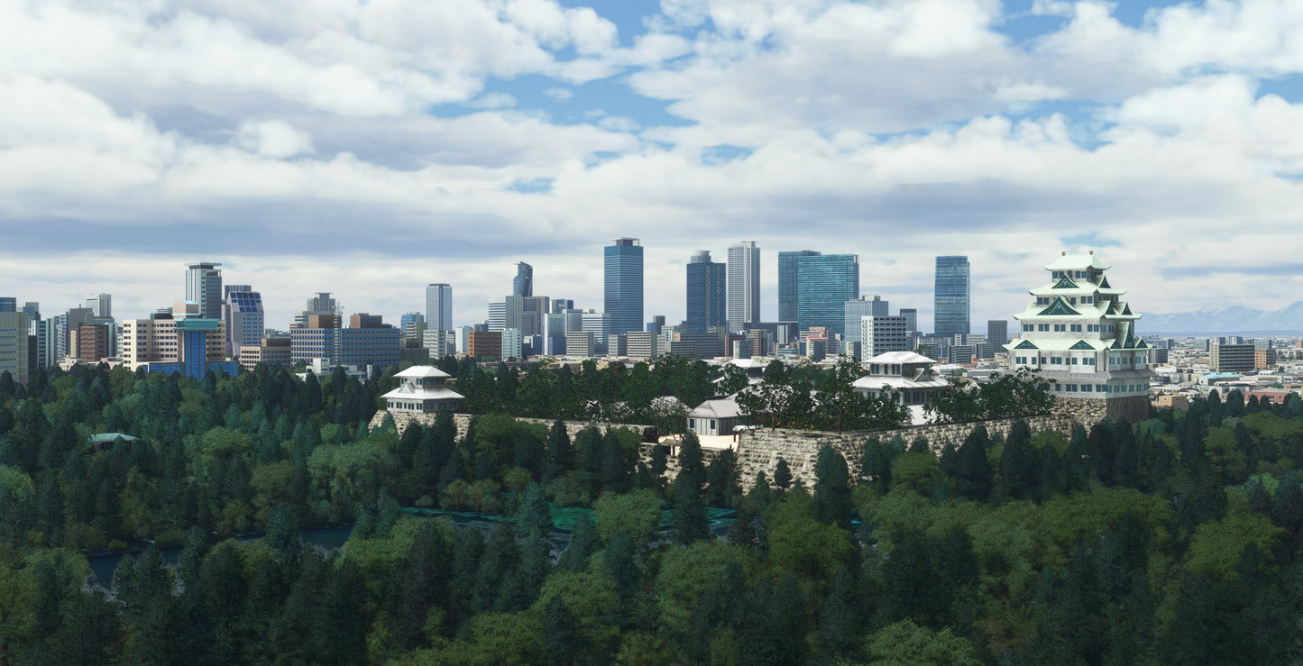 Japan Nagoya City MSFS24/20