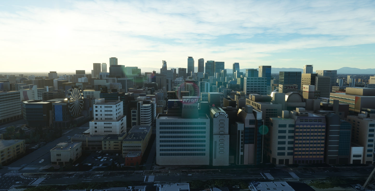 Japan Nagoya City MSFS24/20