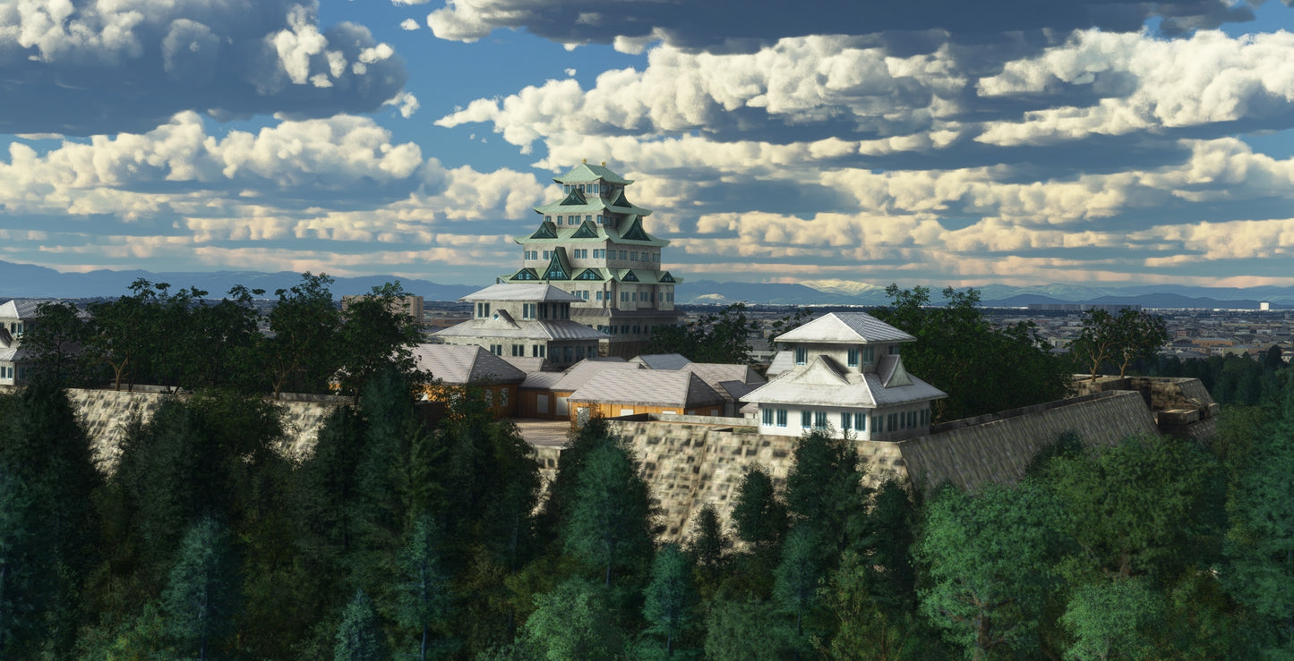 Japan Nagoya City MSFS24/20