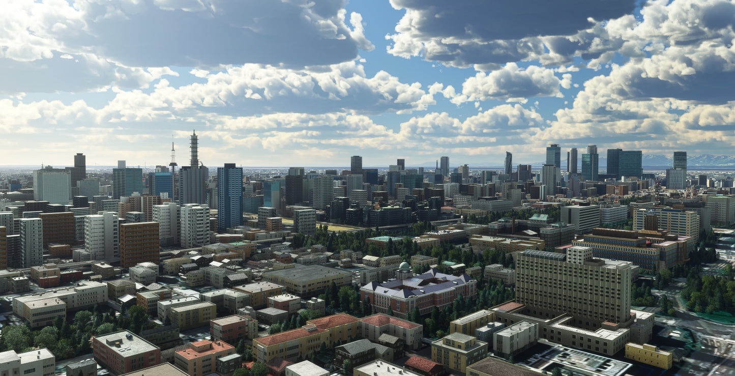 Japan Nagoya City MSFS24/20