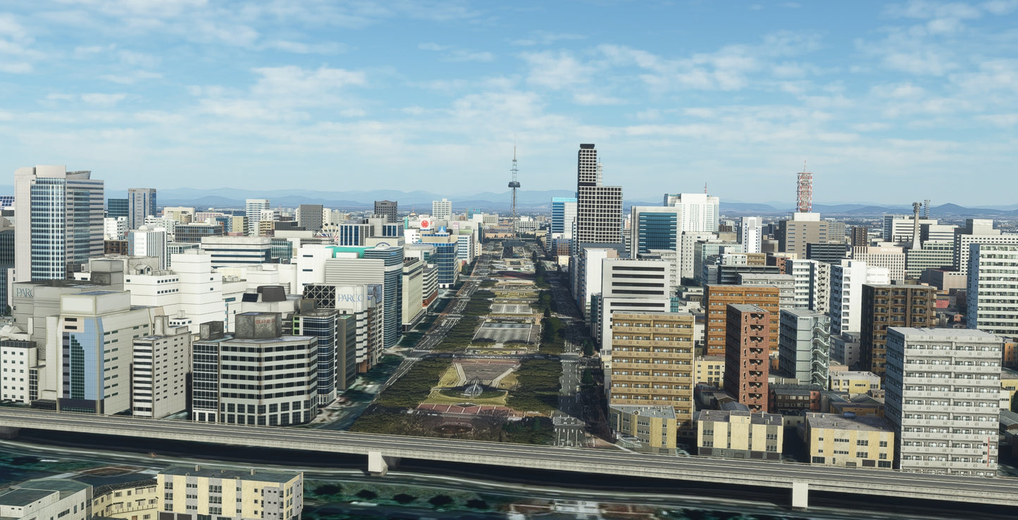 Japan Nagoya City MSFS24/20