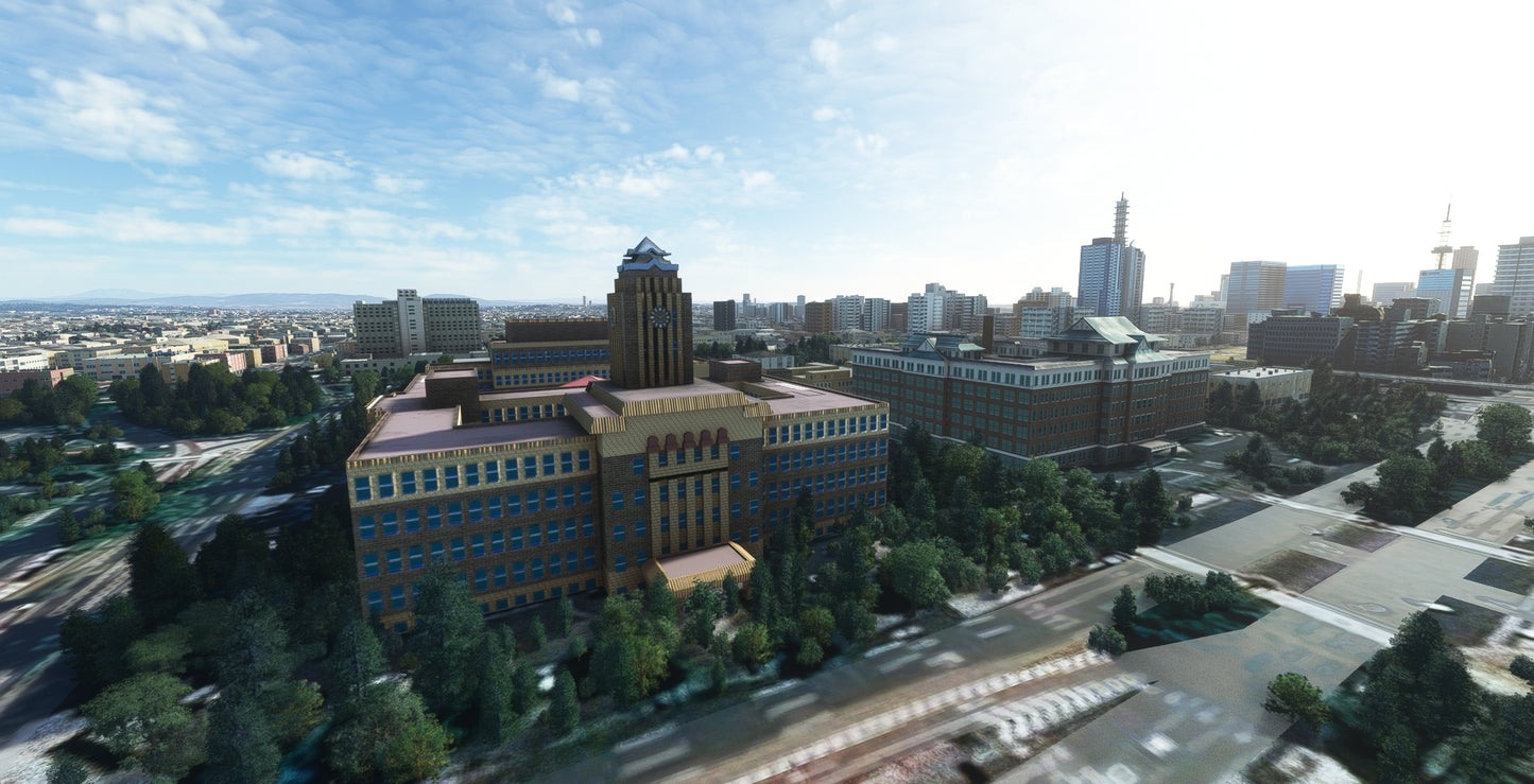 Japan Nagoya City MSFS24/20