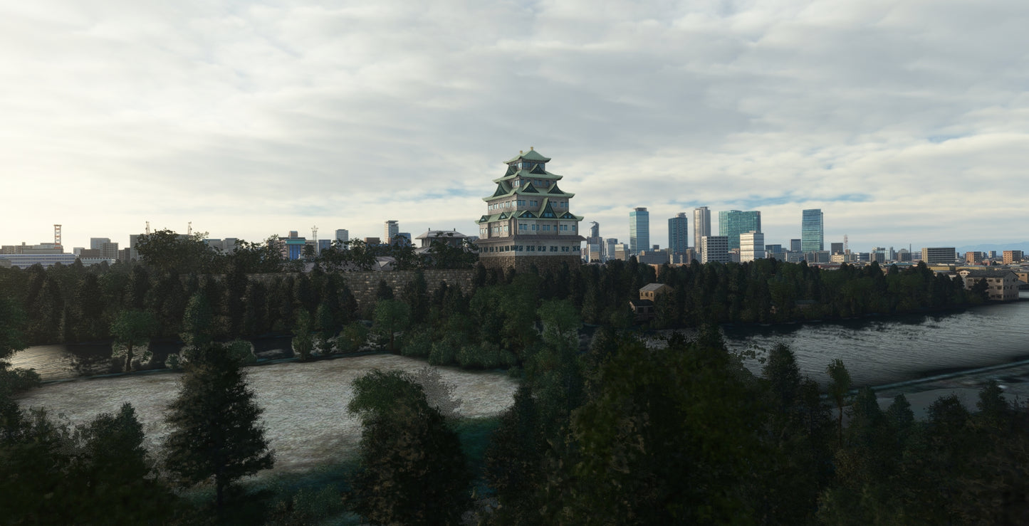 Japan Nagoya City MSFS24/20