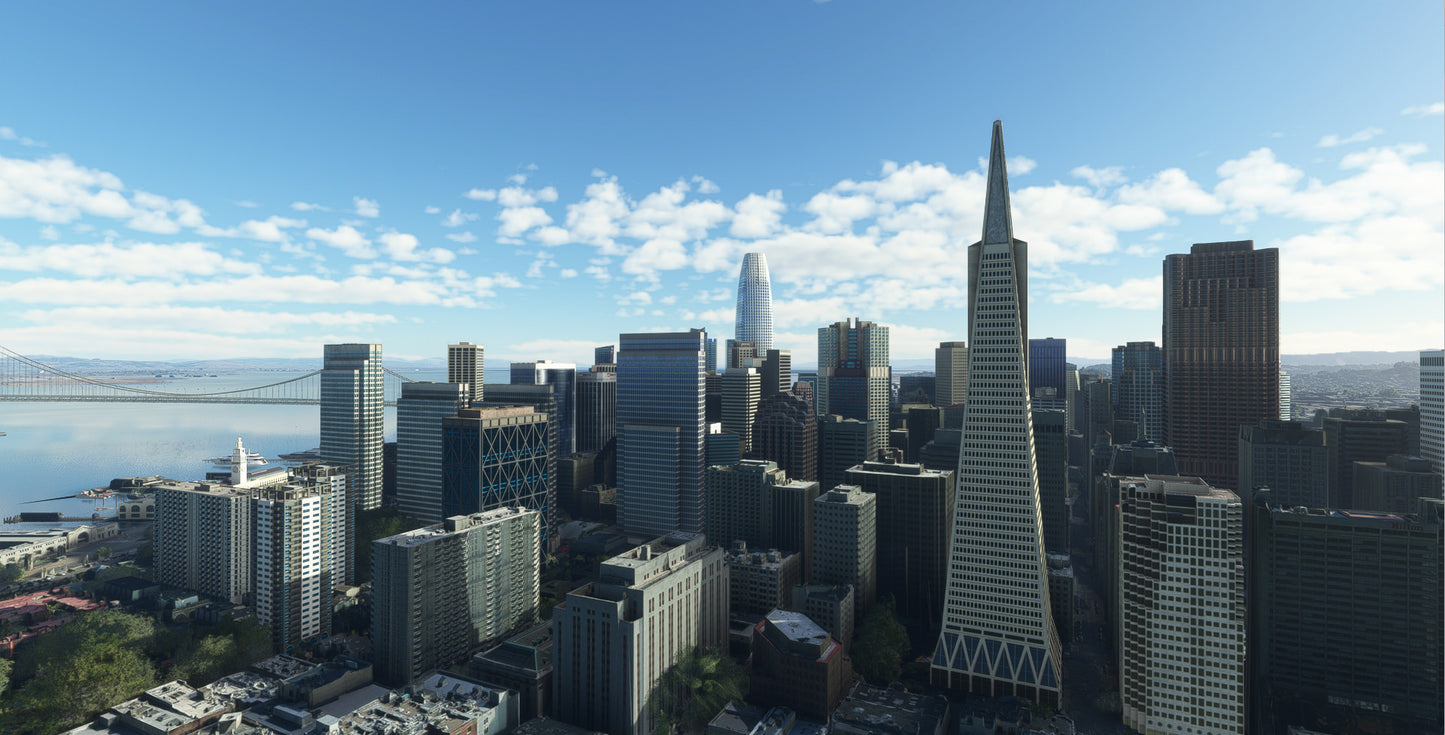 San Francisco Modern City MSFS20/24
