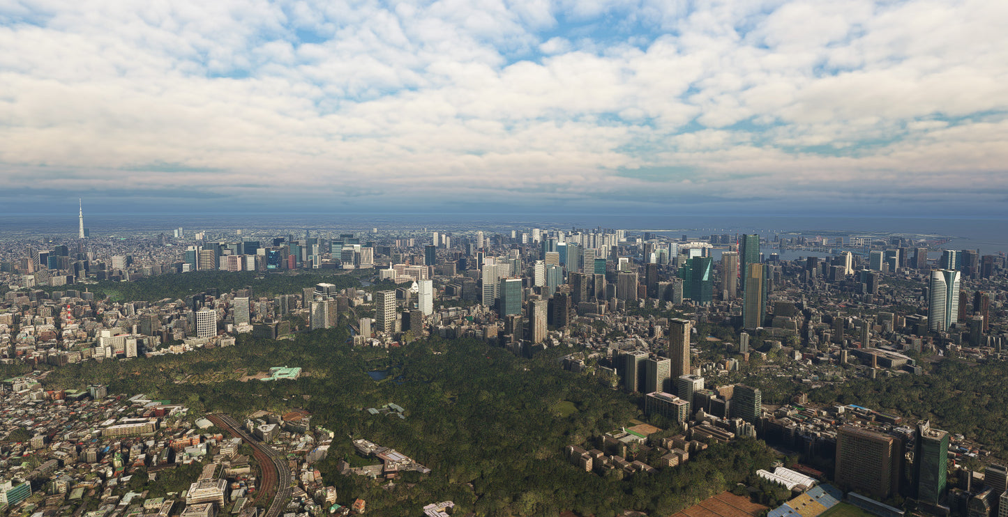 Tokyo City Times for MSFS24/20