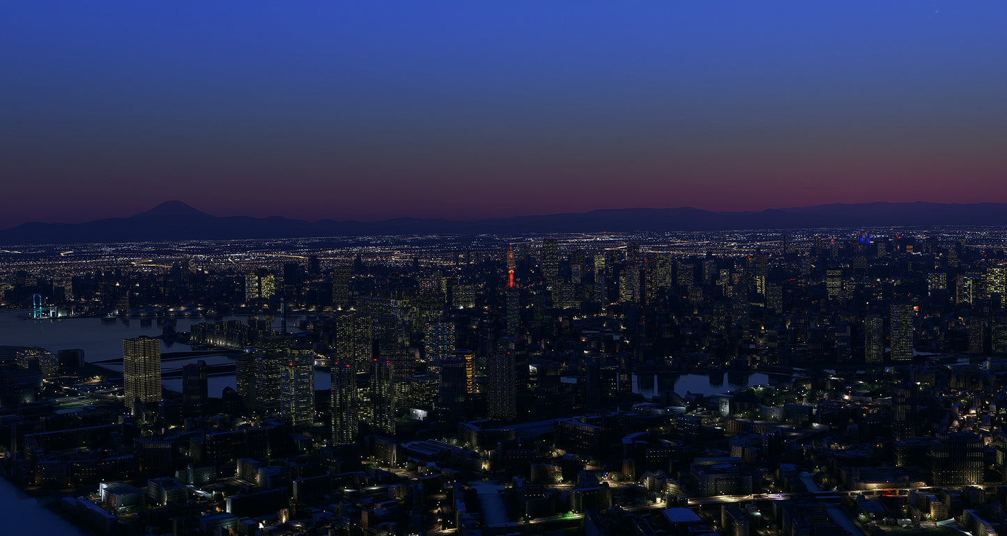 Tokyo City Times for MSFS24/20