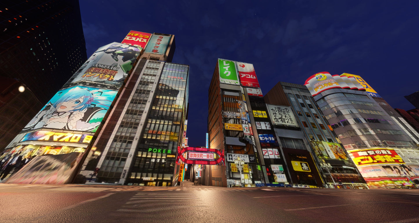 Tokyo City Times for MSFS24/20