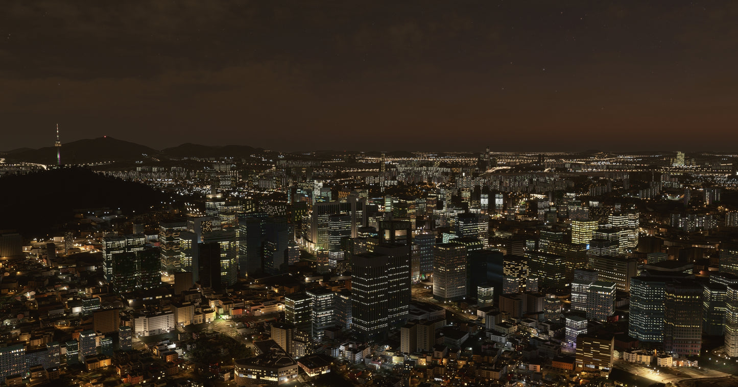 Seoul City Wow for MSFS24/20