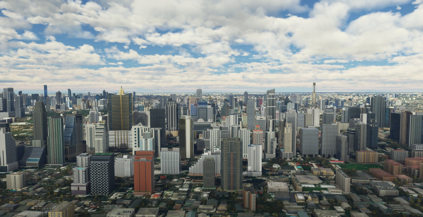 Bangkok Mega City MSFS20/24