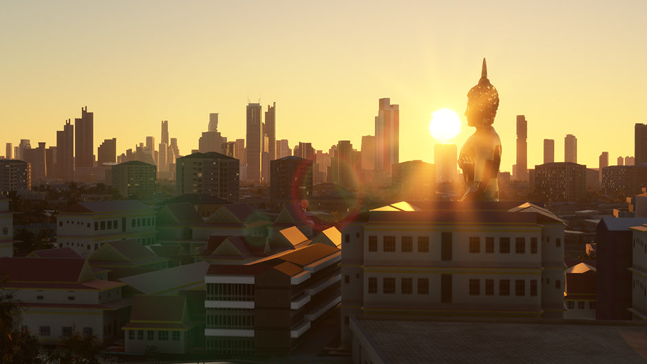 Bangkok Mega City MSFS20/24