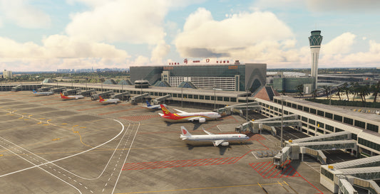 ZJHK Haikou Meilan MSFS24/20