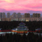 Beijing City Times for MSFS