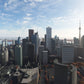 Toronto City Times for MSFS